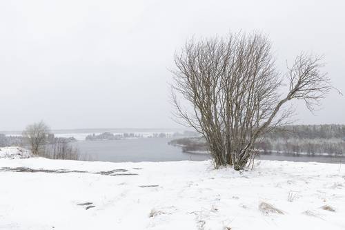 7 мая в Коми