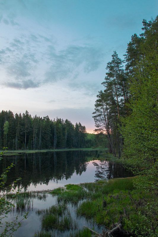 На берегу фото превью