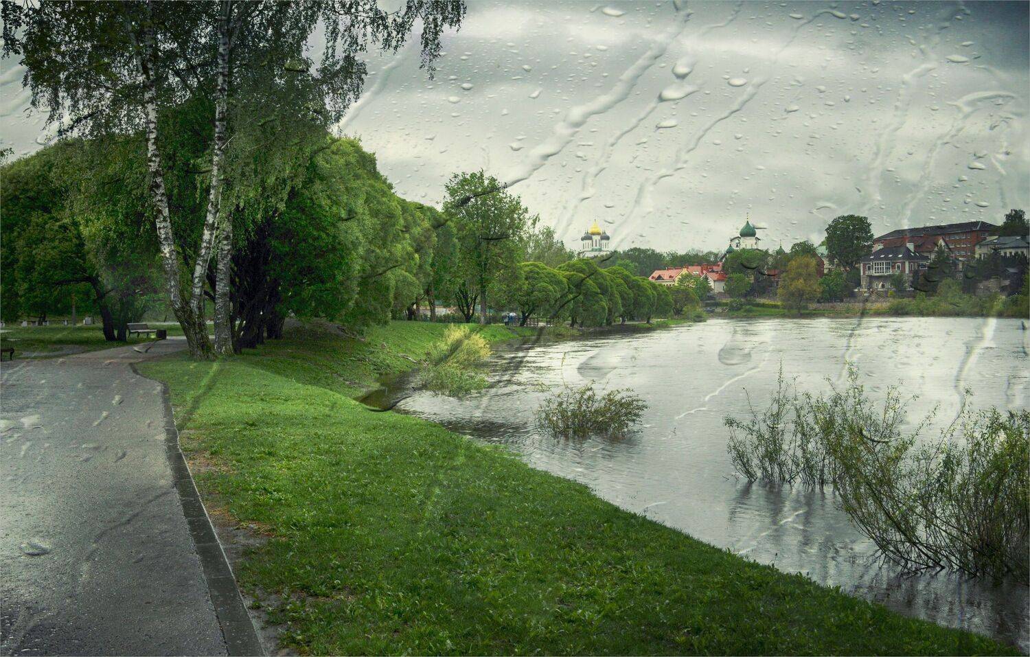 набережная река деревья храмы дождь, Вера Петри