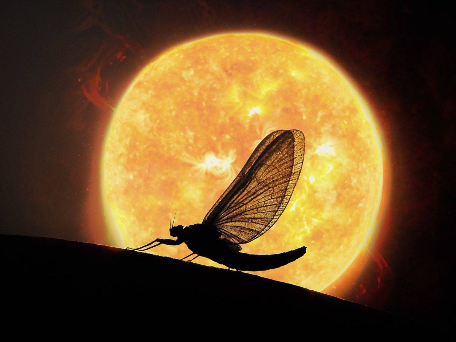 , Лукашук Евгений