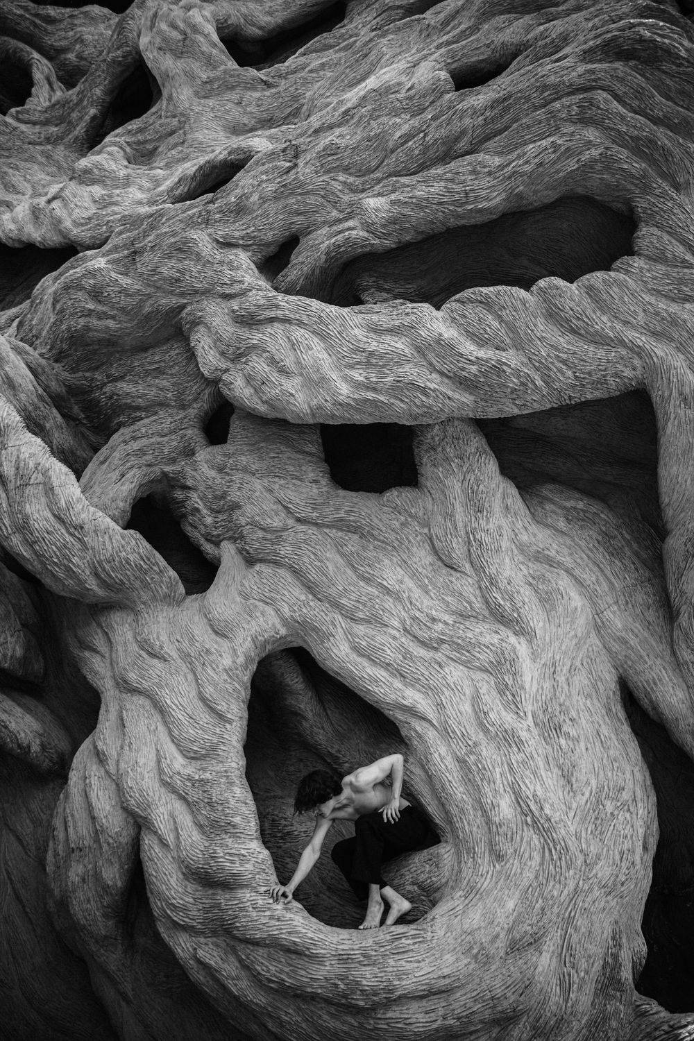 , Щеглова Марина