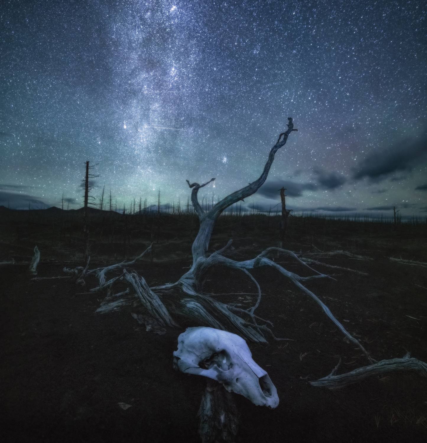 камчатка, Андрей Грачев