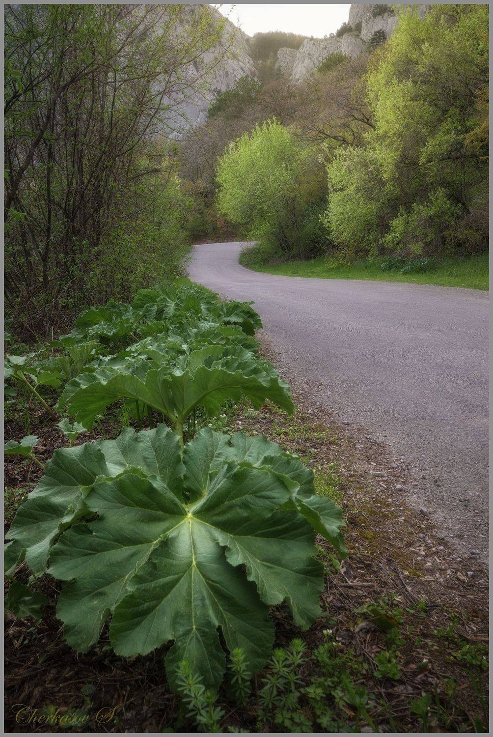 крым, севастополь, дорога,, Черкасов Сергей