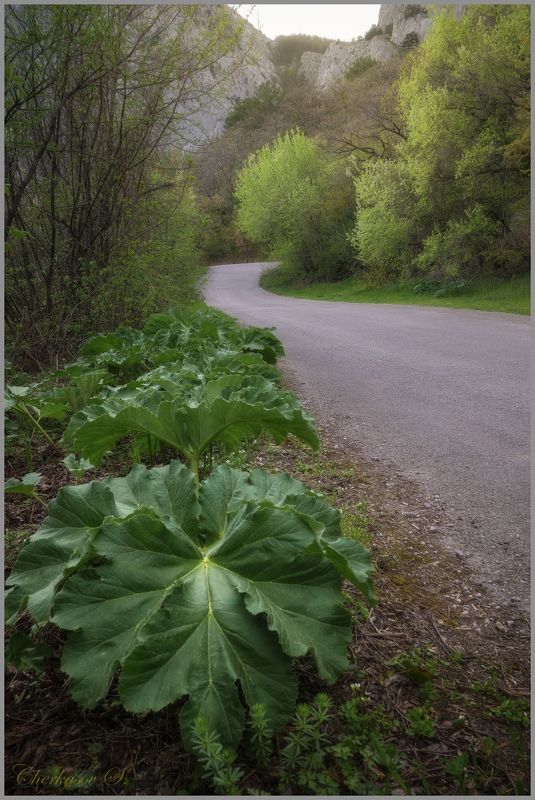 крым, севастополь, дорога, Старое шоссе фото превью