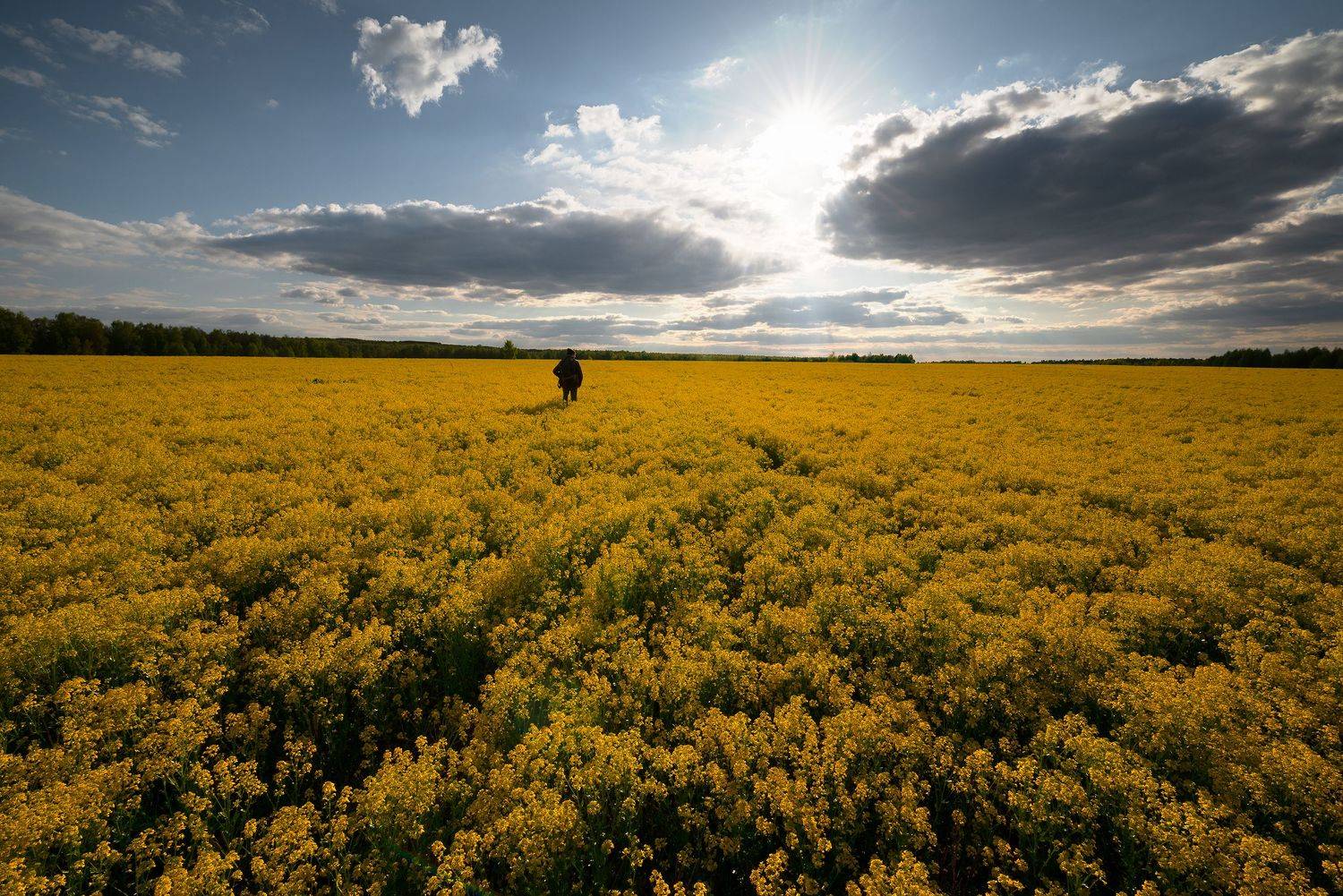 , Стрельцов Виталий