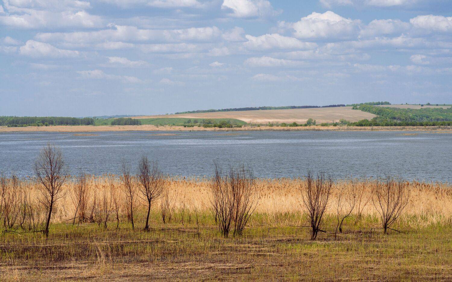 , Вертиков Юрий