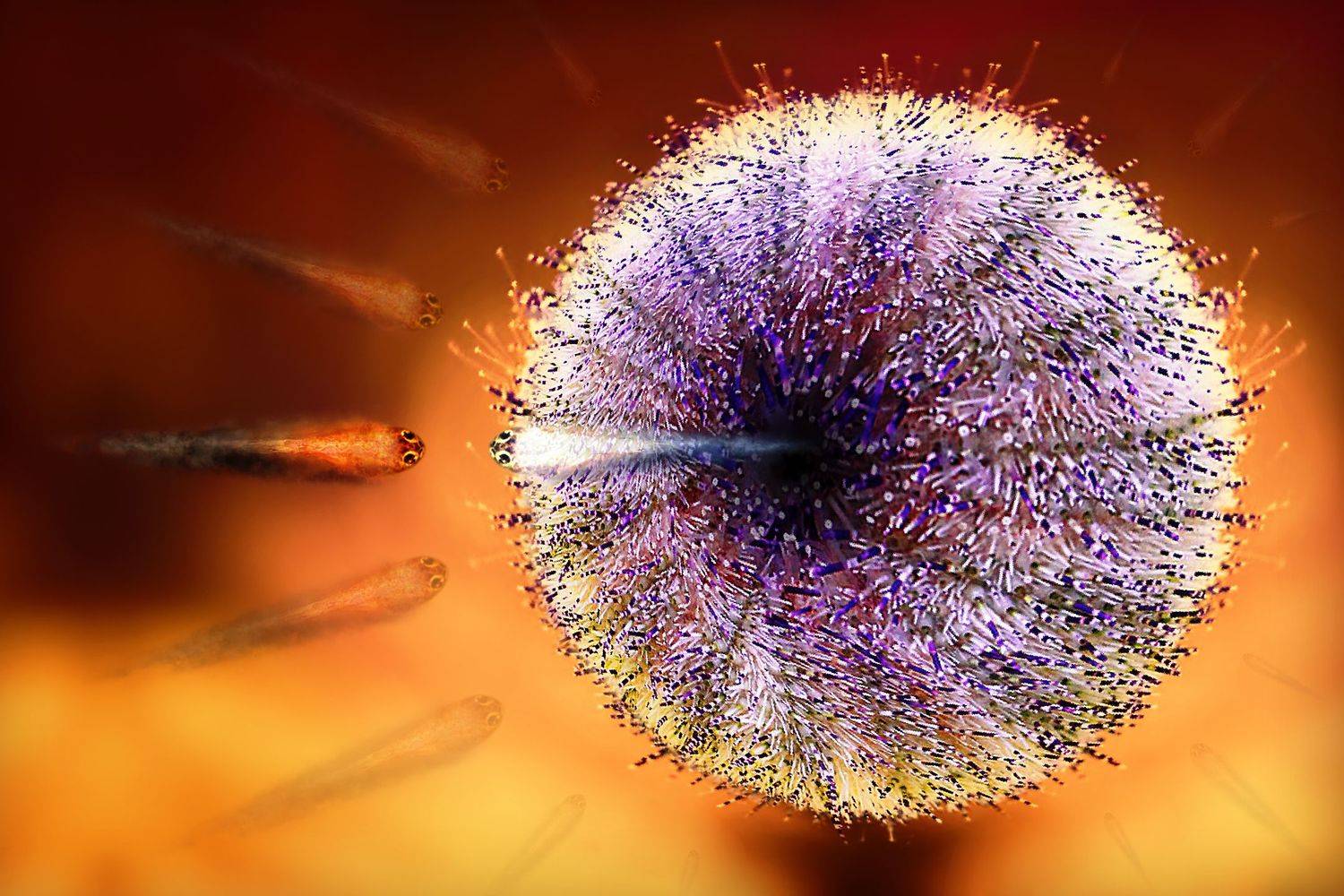 creative, креатив, манипуляция, концепция, избранный, цифровое, искусство, digital, art, chosen, elected, only, one, Дмитрий Салтыков