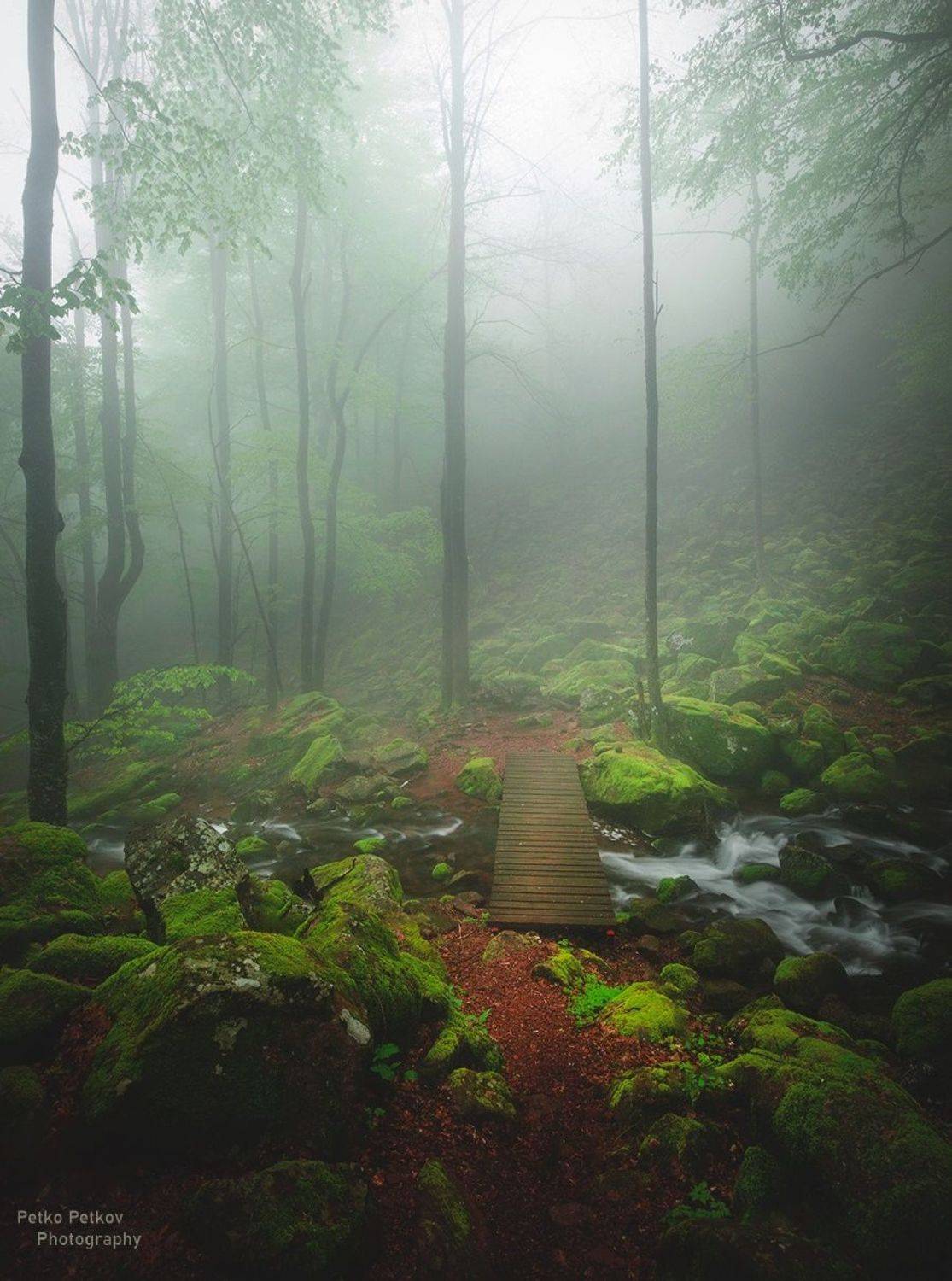 , Петко Петков