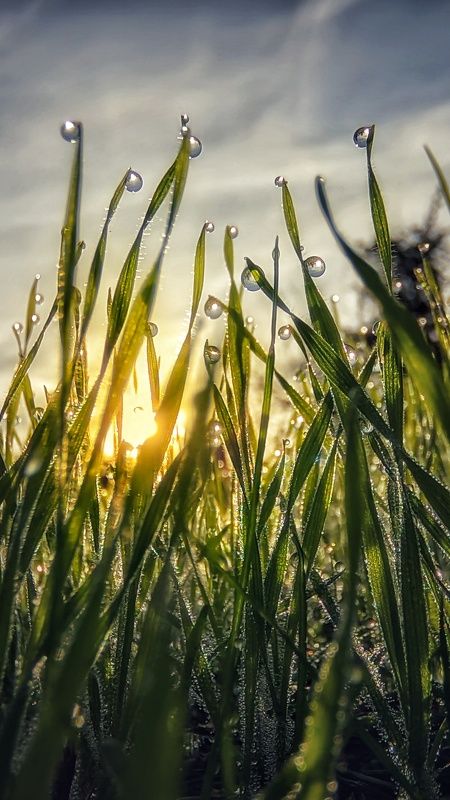 Все,что под ногами фото превью
