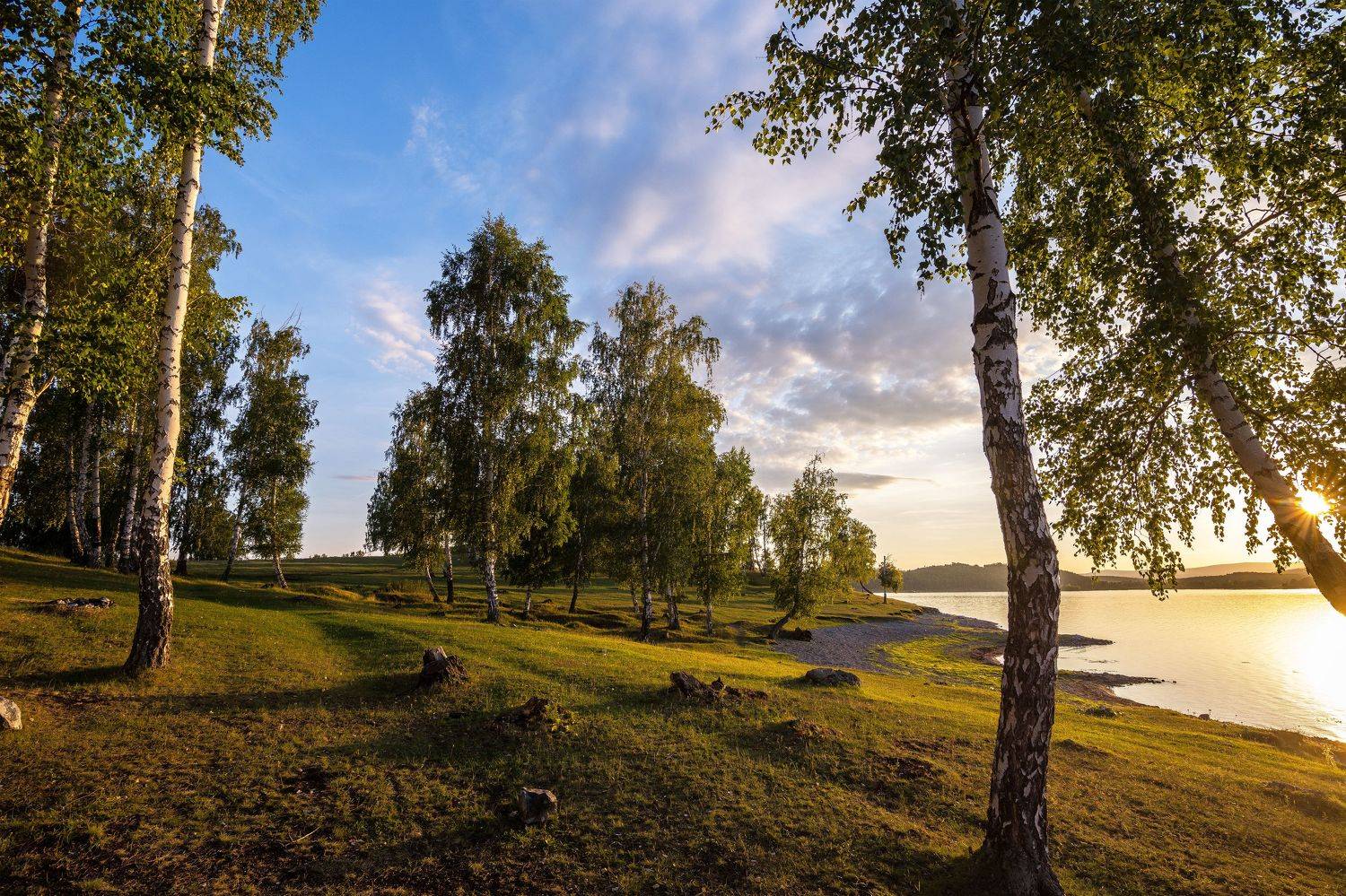 , Андрей Шарапов