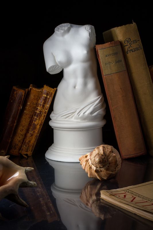 скульптура, книги, библиотека, кабинет, ретро, винтаж, морская раковина, античный, старинный. стиль, бюст. история, творчество Я мысленно вхожу в ваш кабинет... фото превью