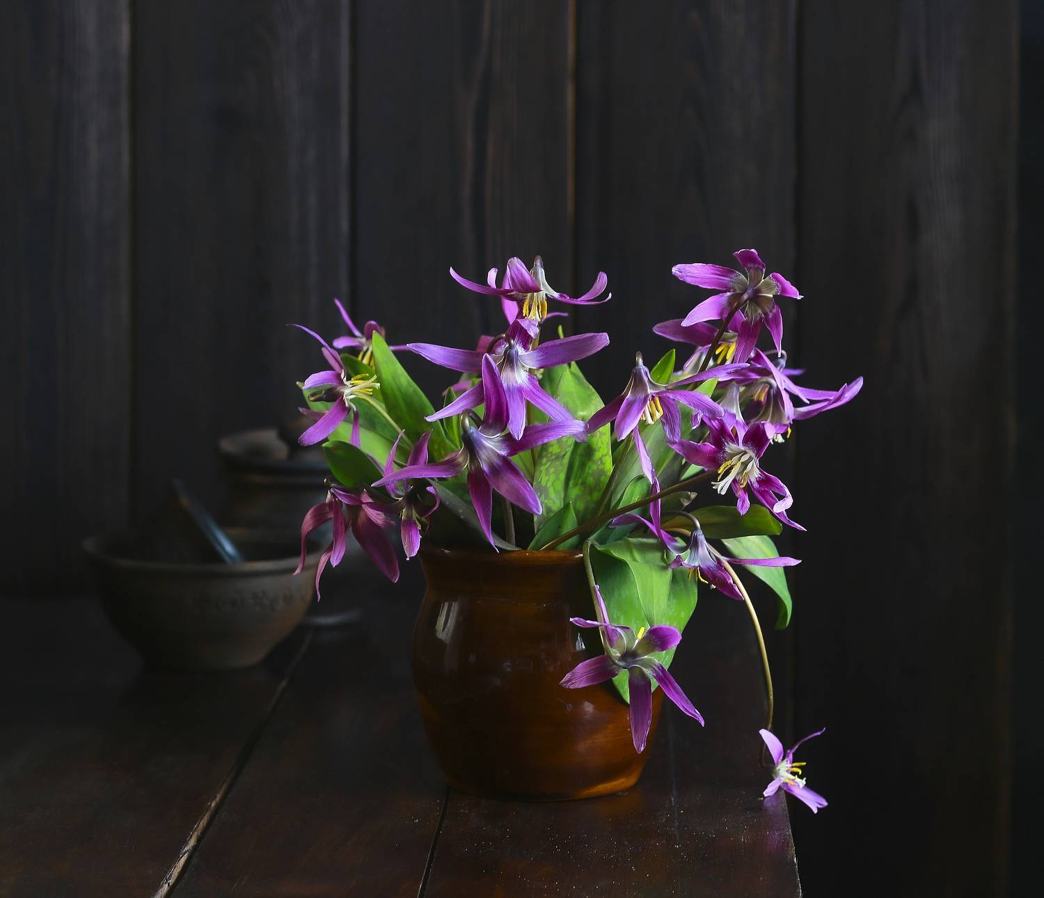 натюрморт, фотонатюрморт, весна, цветы, букет, кандыки, сибирь, still life, stillifefoto, художественное фото, фотохудожник, наталья казанцева, Наталья Казанцева