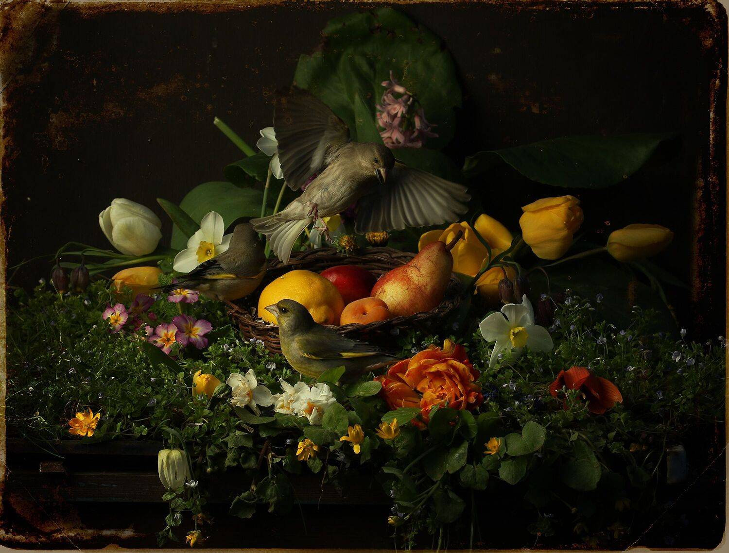 зеленушка, Хромушин Олег