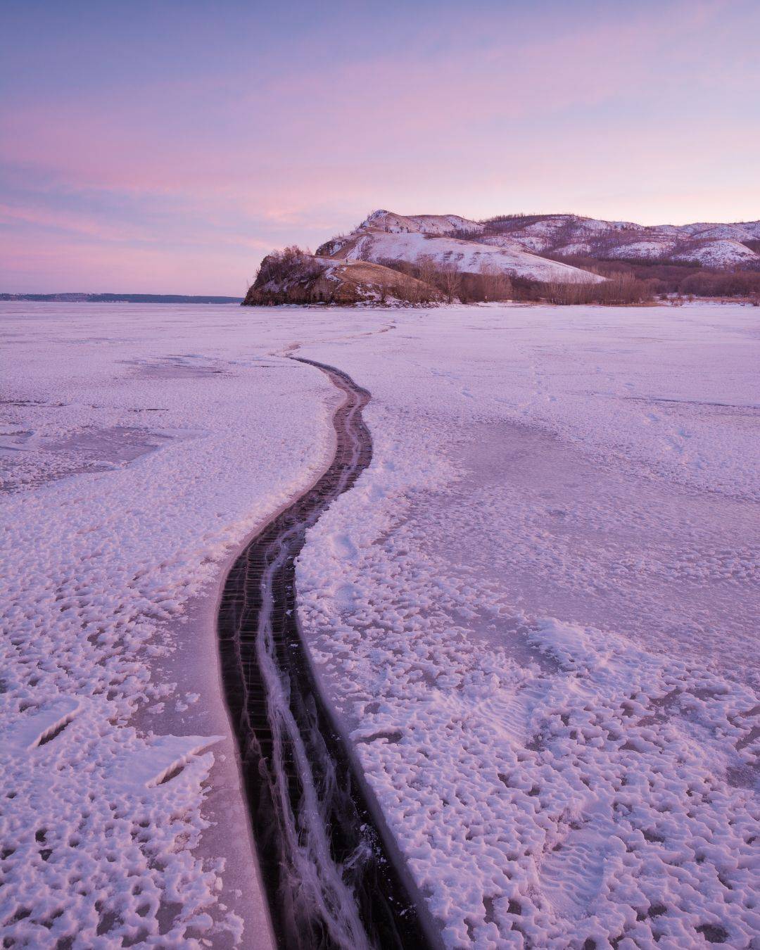 , Алексей Проняхин
