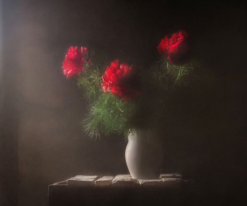 О ласковом свете фото превью