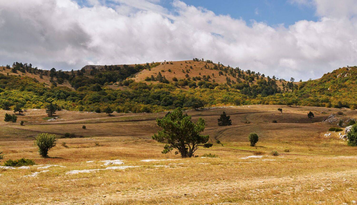 , Лысенко Сергей