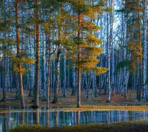 Майские картины