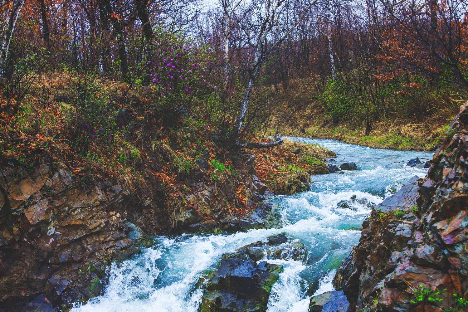 , Сигида Дмитрий