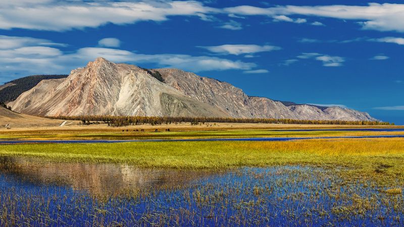 байкал, малое море, зундук Приморский Хребет на берегу озера Байкал фото превью