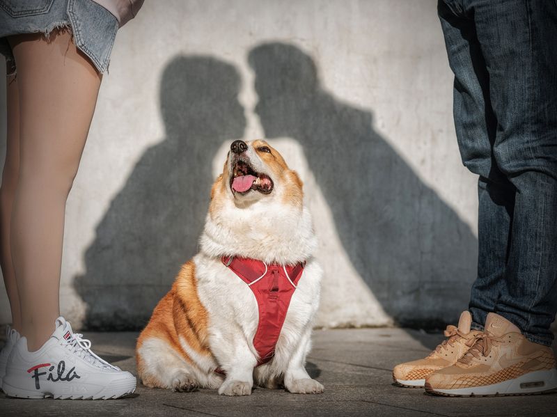 love фото превью