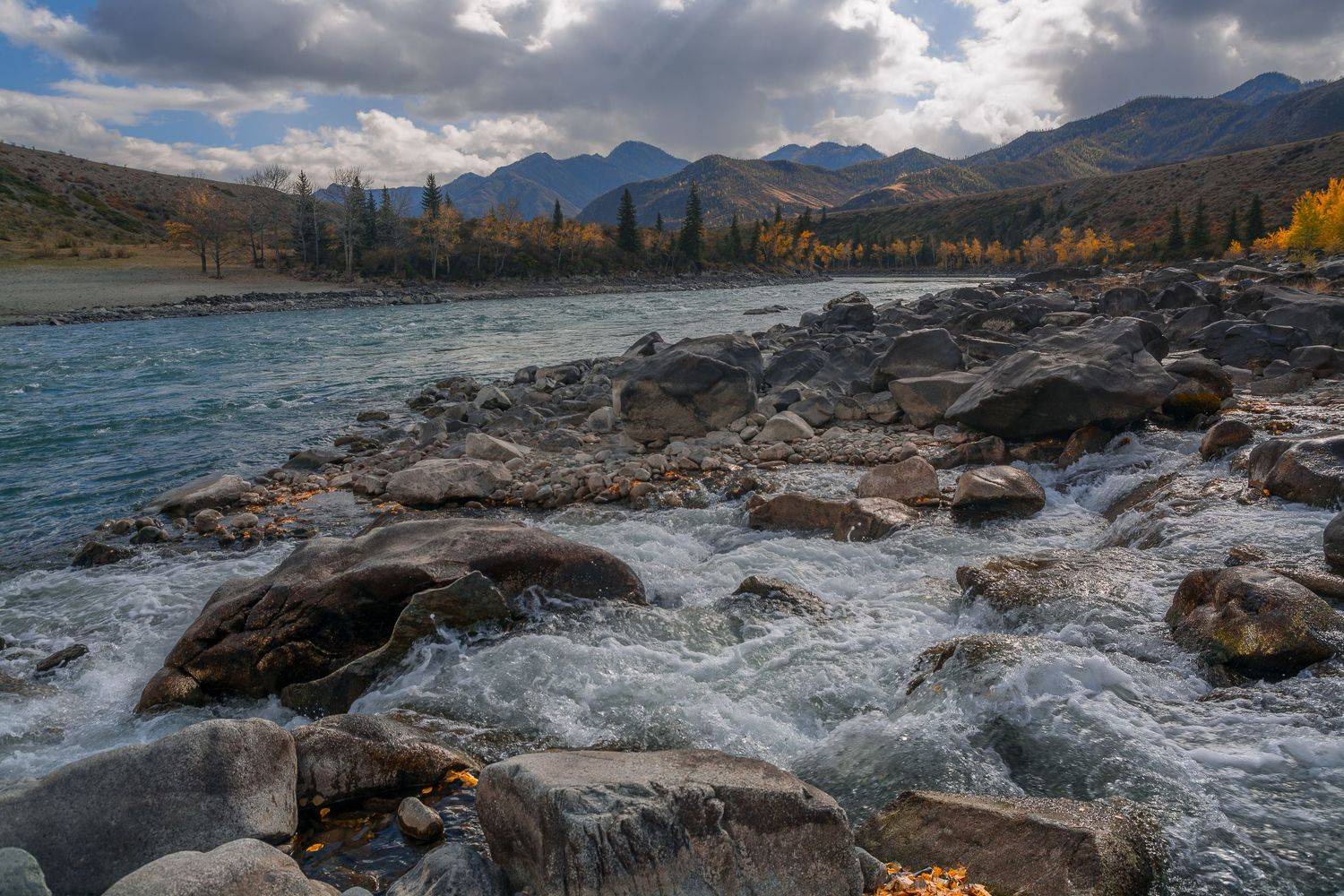 россия, горный алтай, река катунь, осень, Андрей Поляков