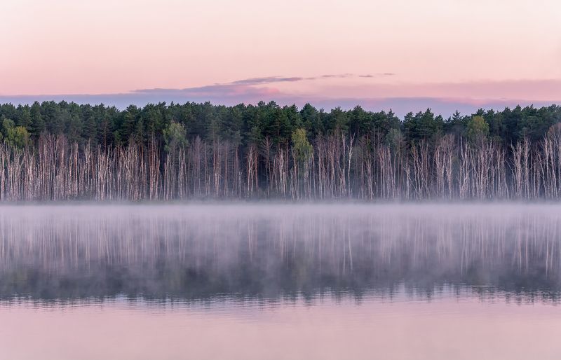 озеро, ленёво, утро, туман, бор, оз. Ленёво.. фото превью