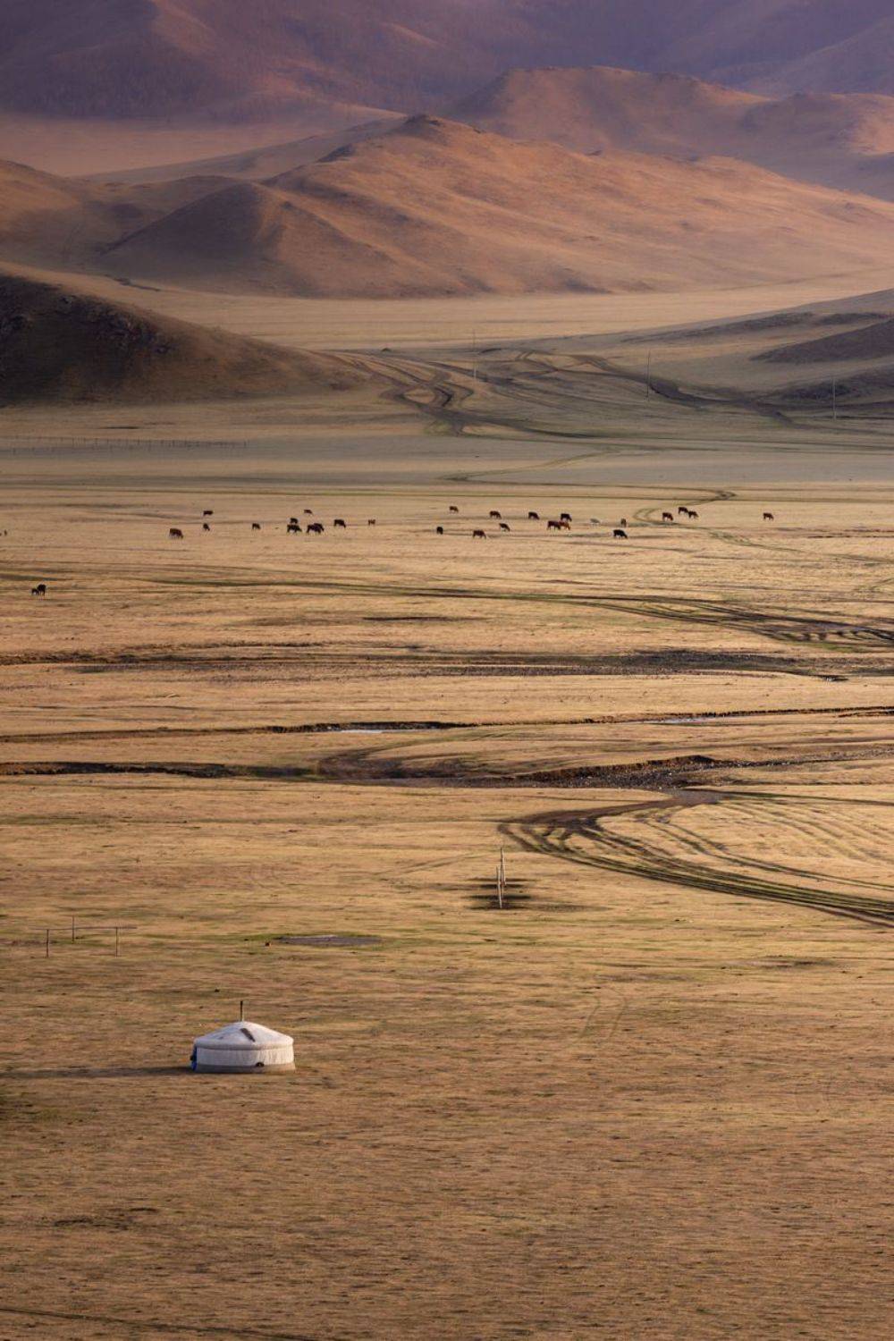 , Трофимов Алексей