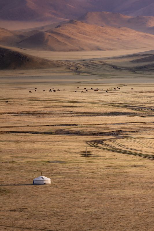 В сердце монгольских степей фото превью