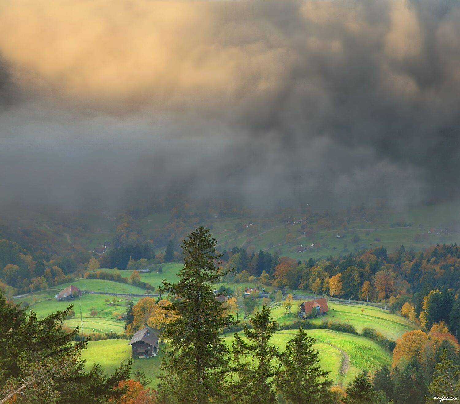 swiss,швейцария,осень,rigi, Николай Матвеев