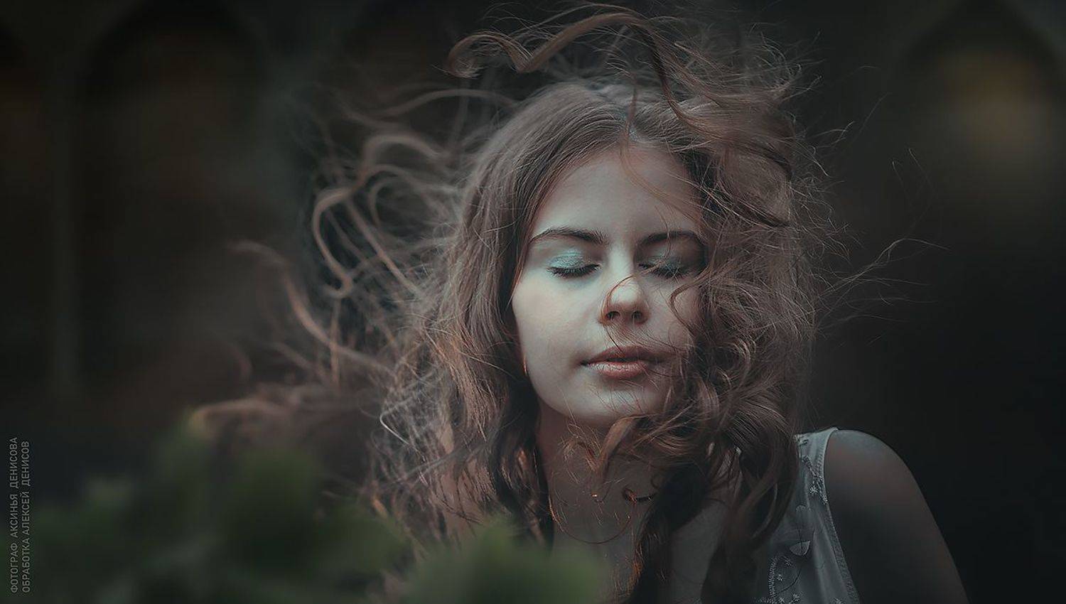 , Алексей Денисов