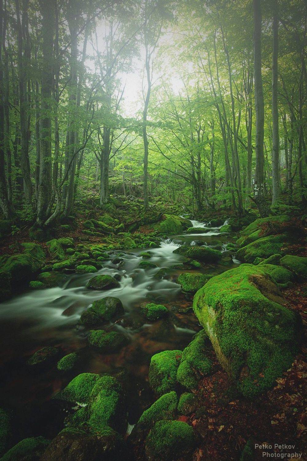 , Петко Петков