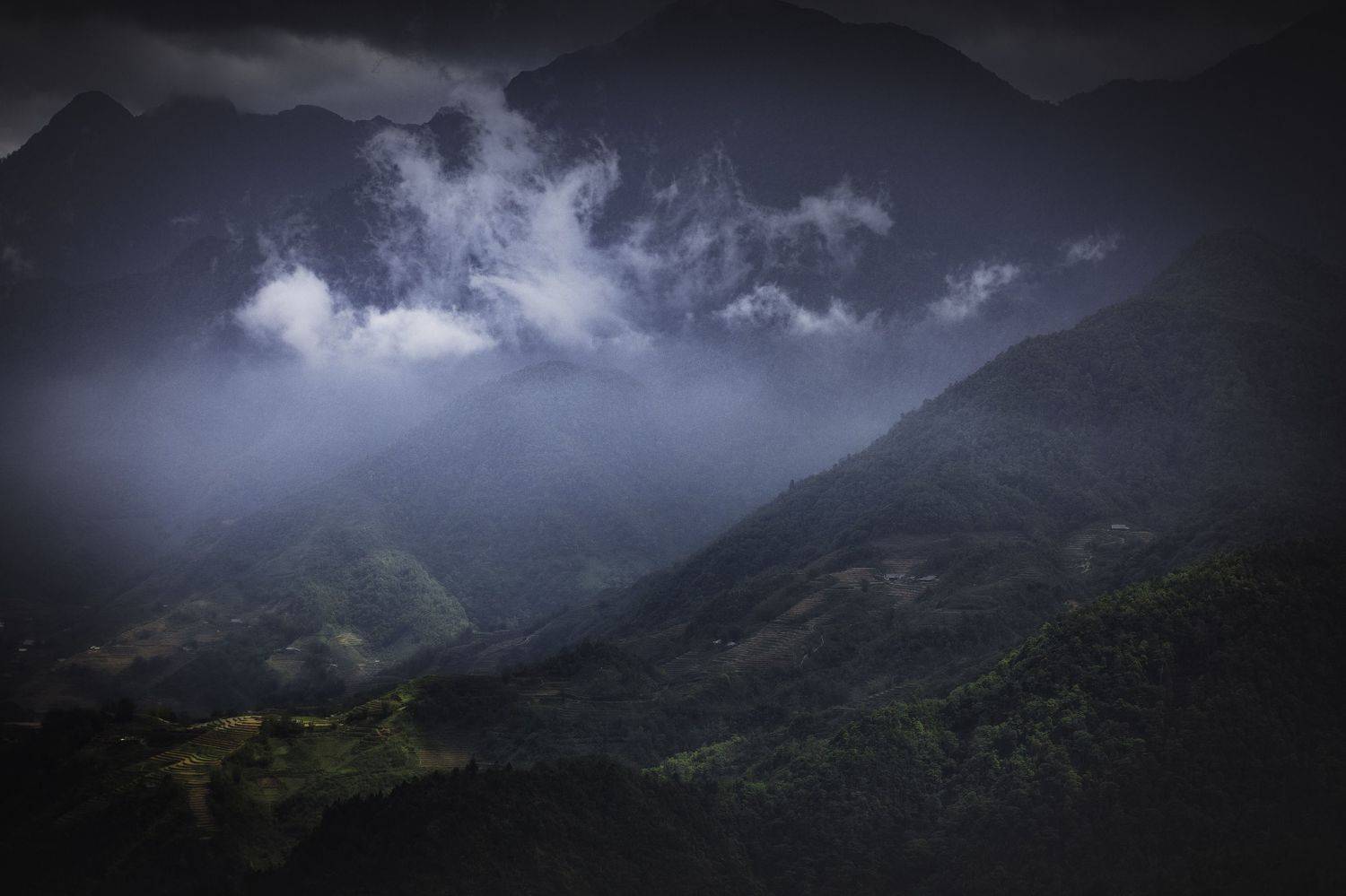 , Могилевич Elena