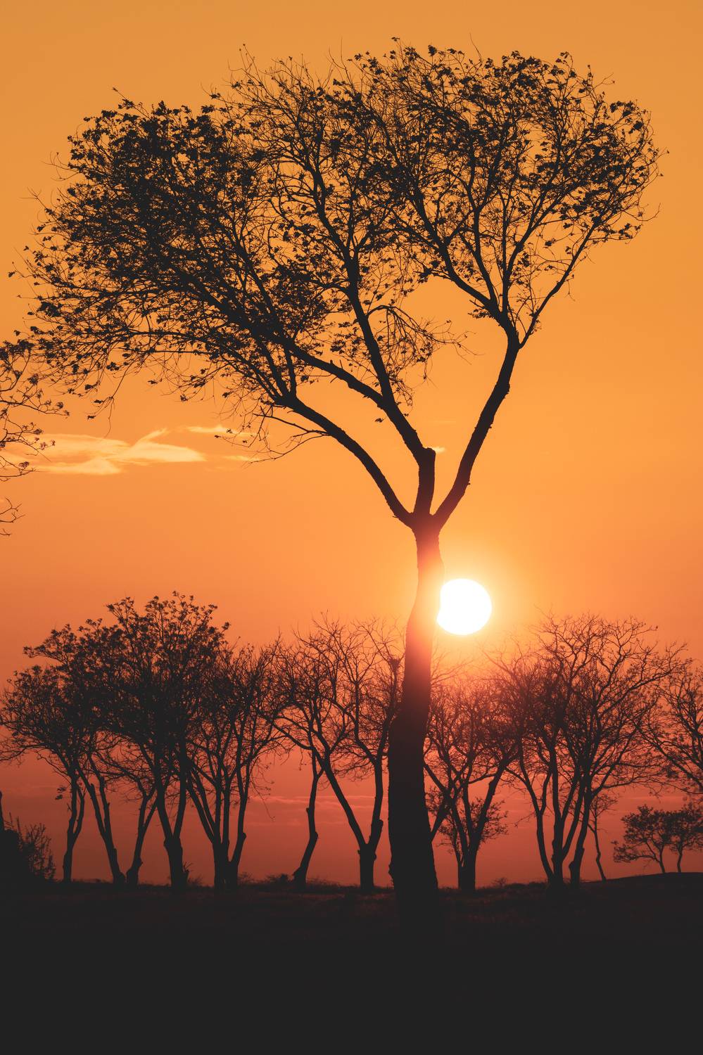 , Кривцов Андрей