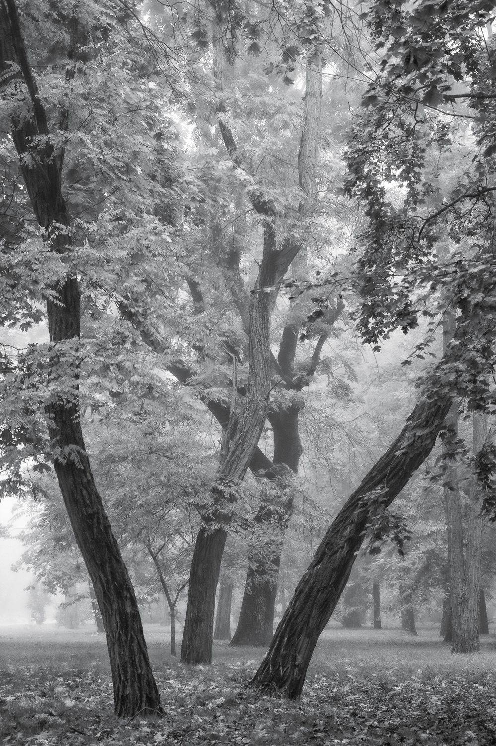 , Юрий Пужалин