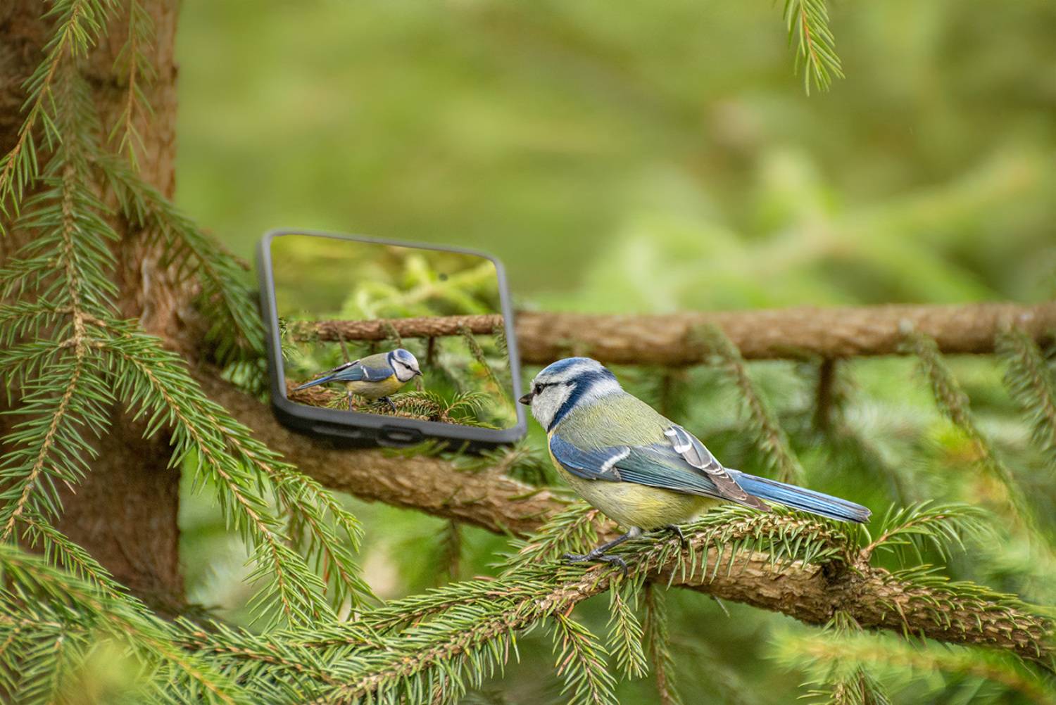 , Анатолий Зверев