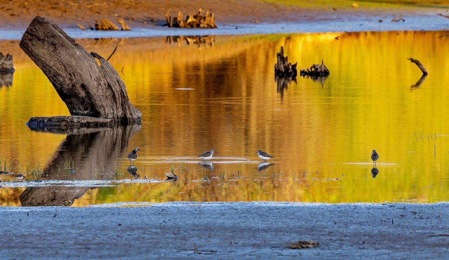 , Подосинников Максим