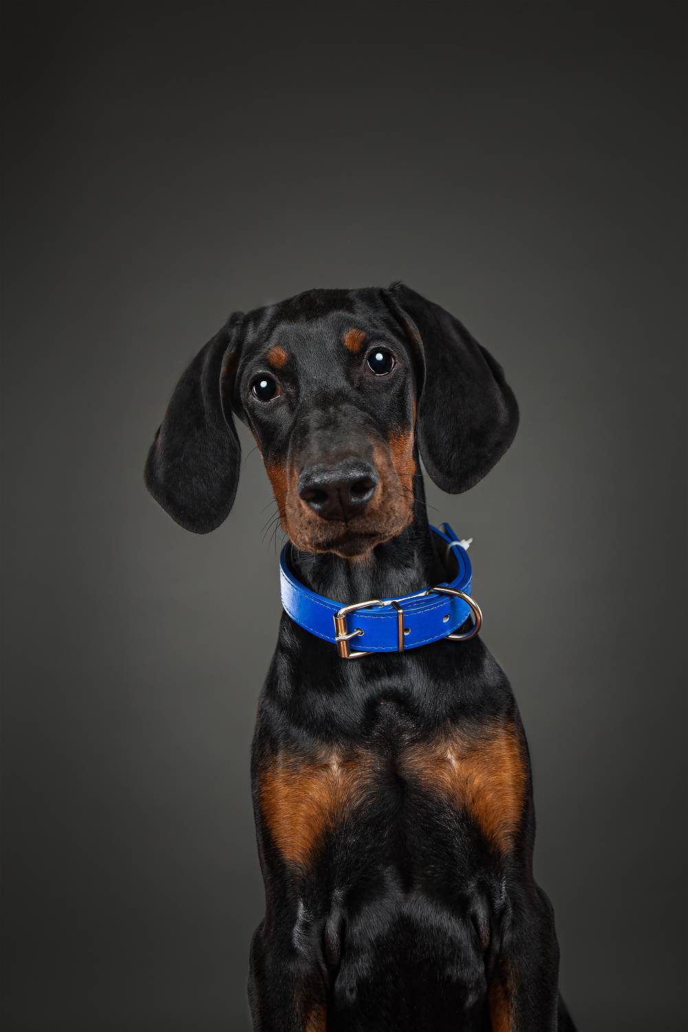 , Юлия Гончар