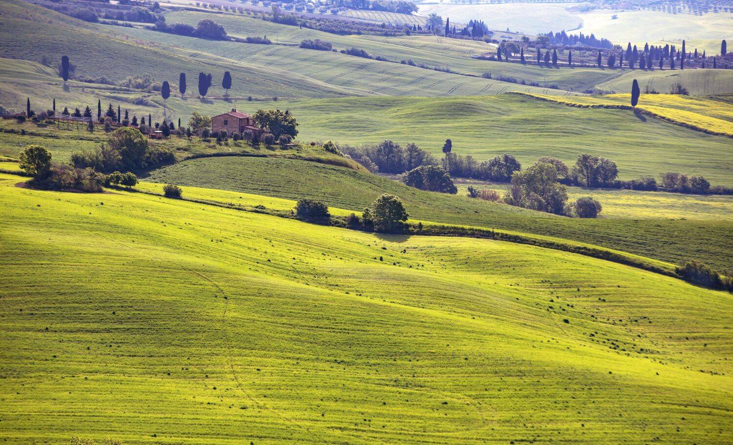тоскано,май 2023 года, Валентина Булкина