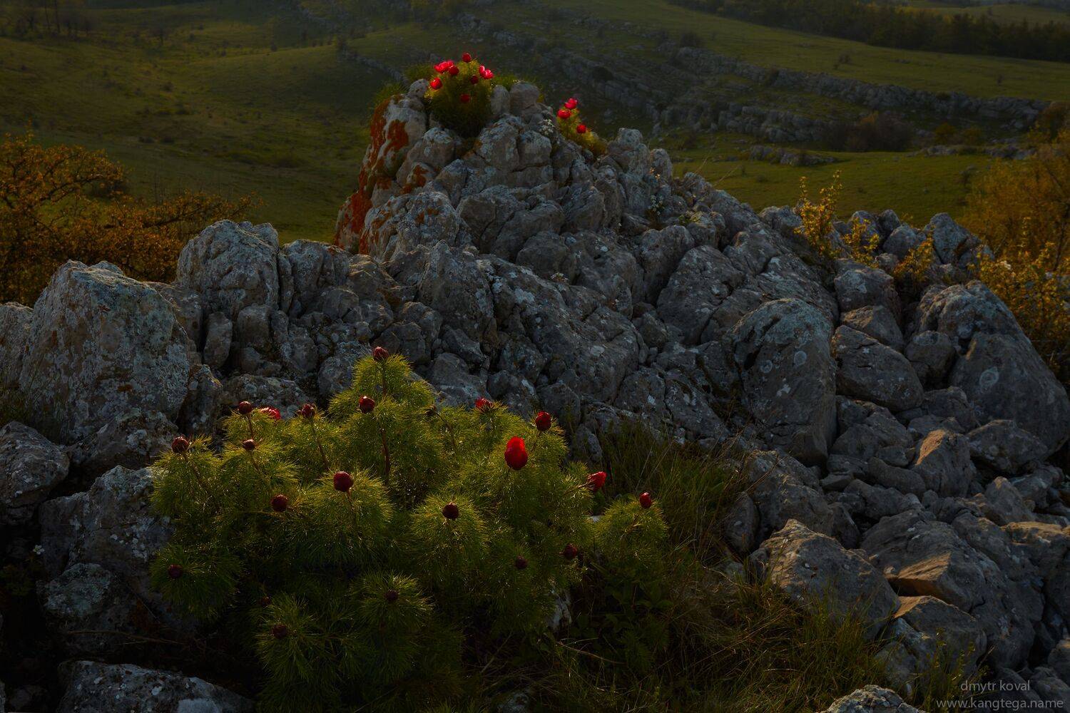 дмитр коваль, гималаи и крым вне треков, пейзаж как магия, Коваль Дмитр