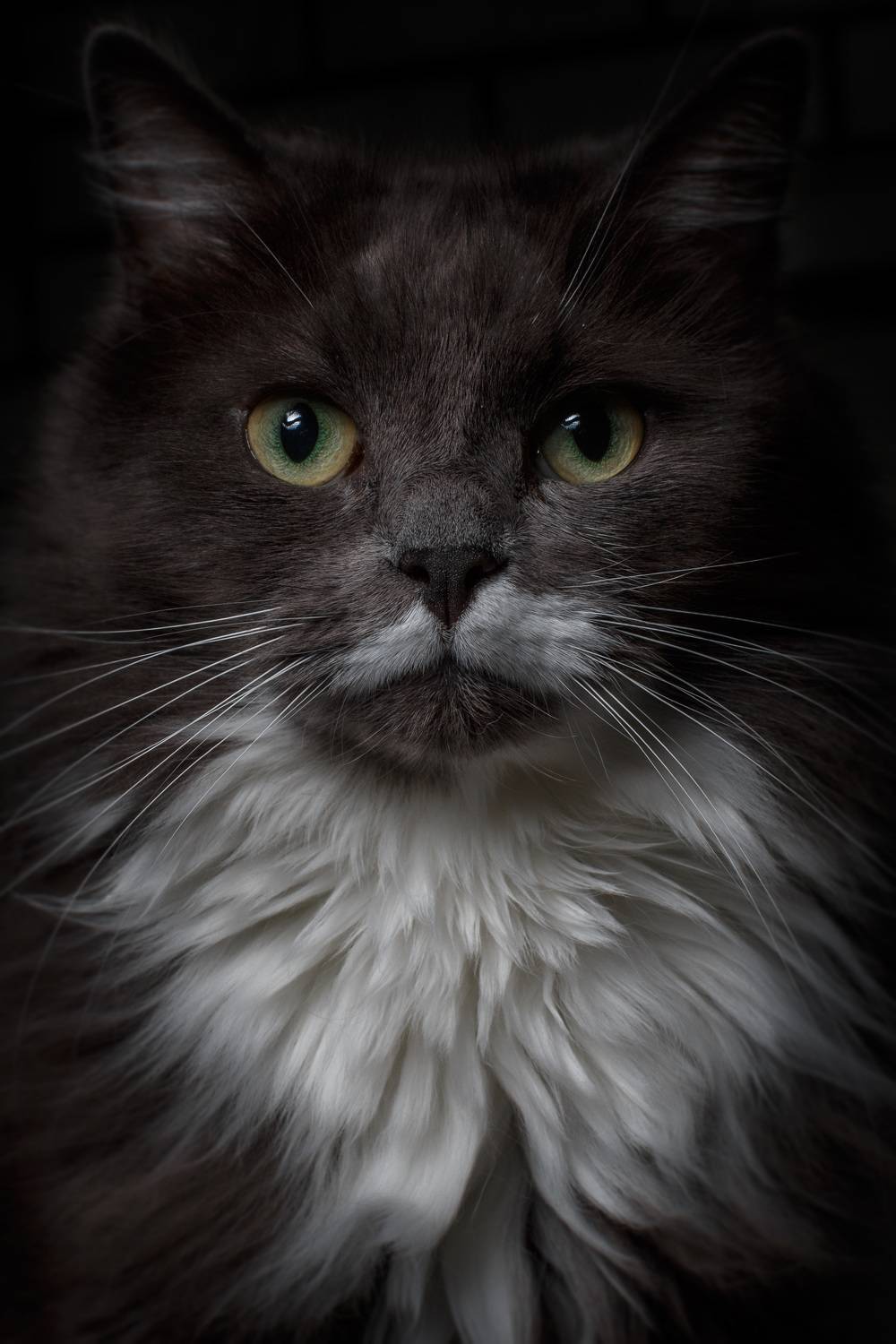 , Владимир Осауленко