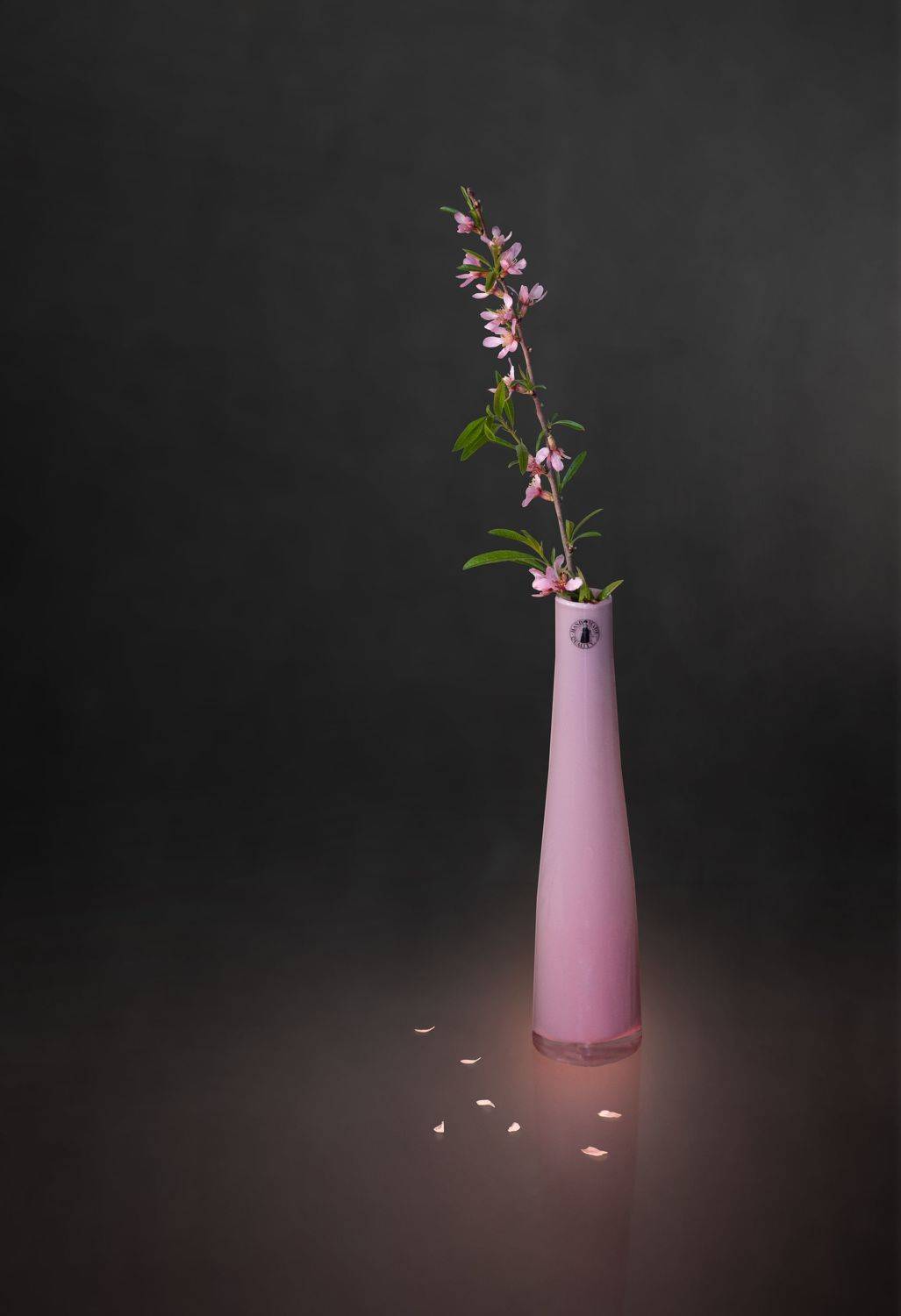 , Юрьев Борис