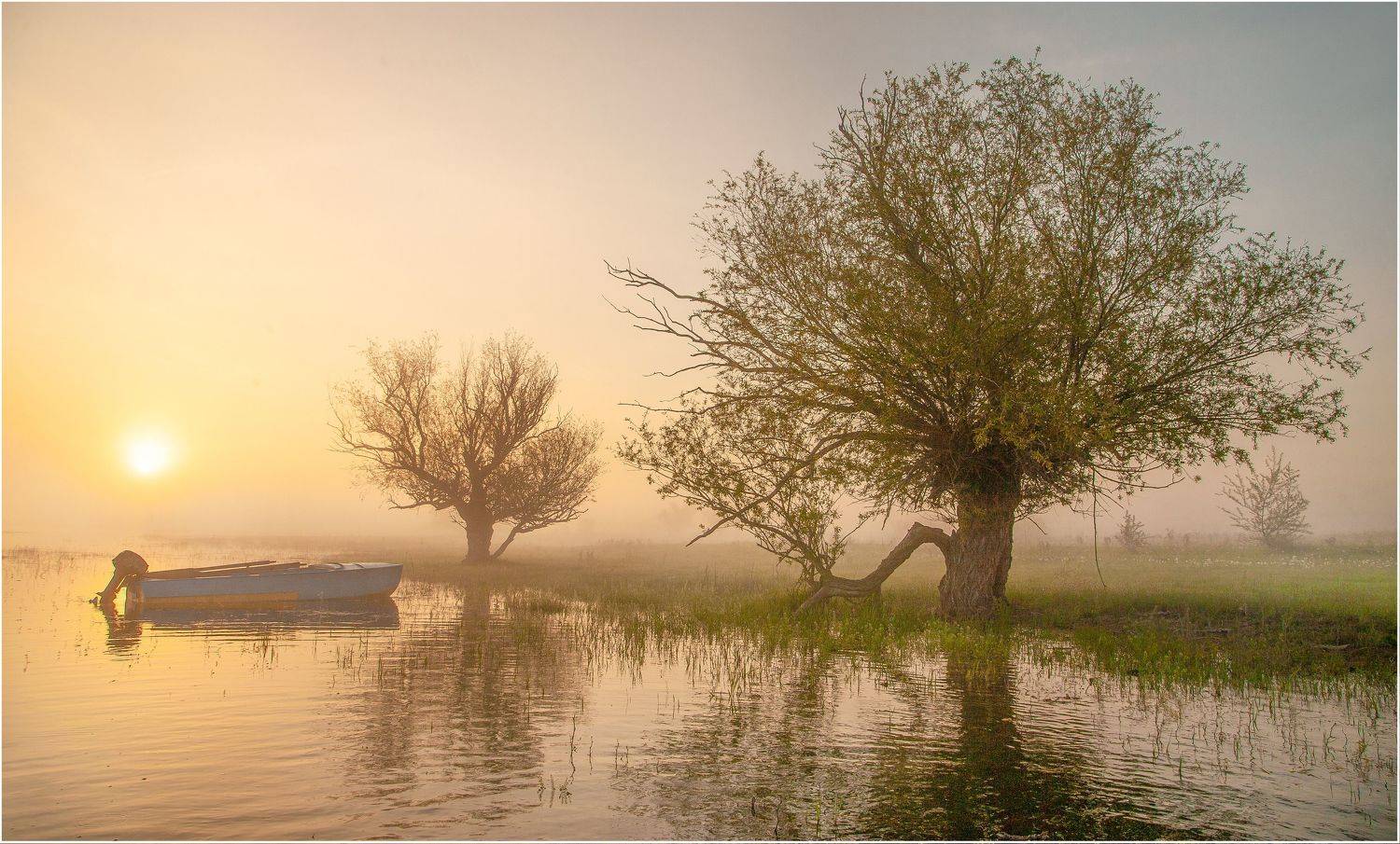 у села  камышово, Сергей цыбизов