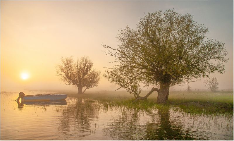 УТРО  ТУМАННОЕ (половодье) фото превью