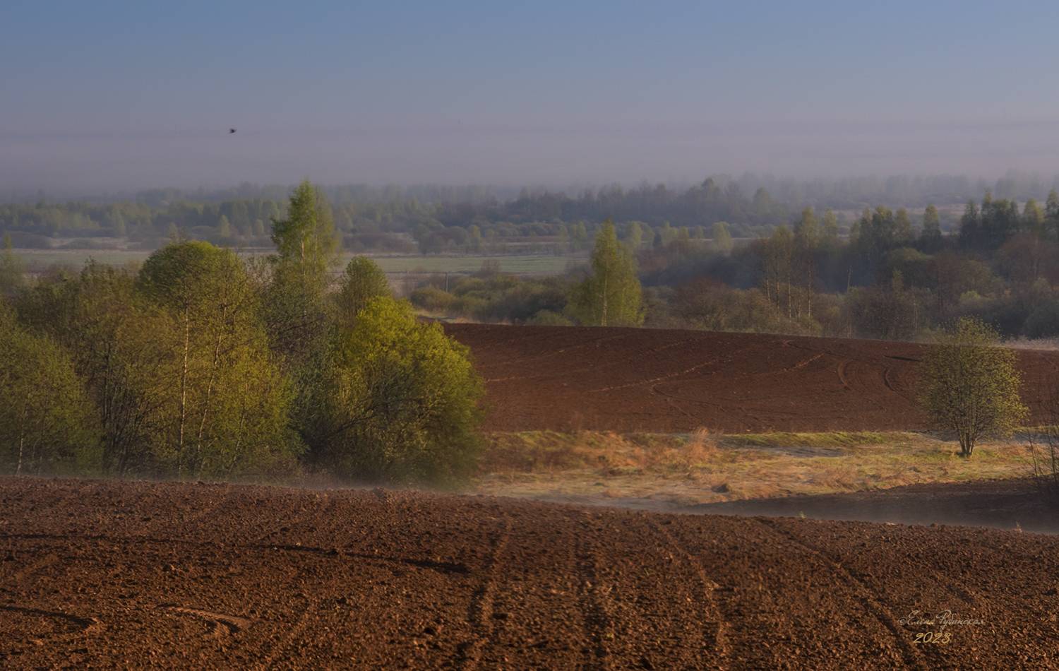 , Елена Рубинская