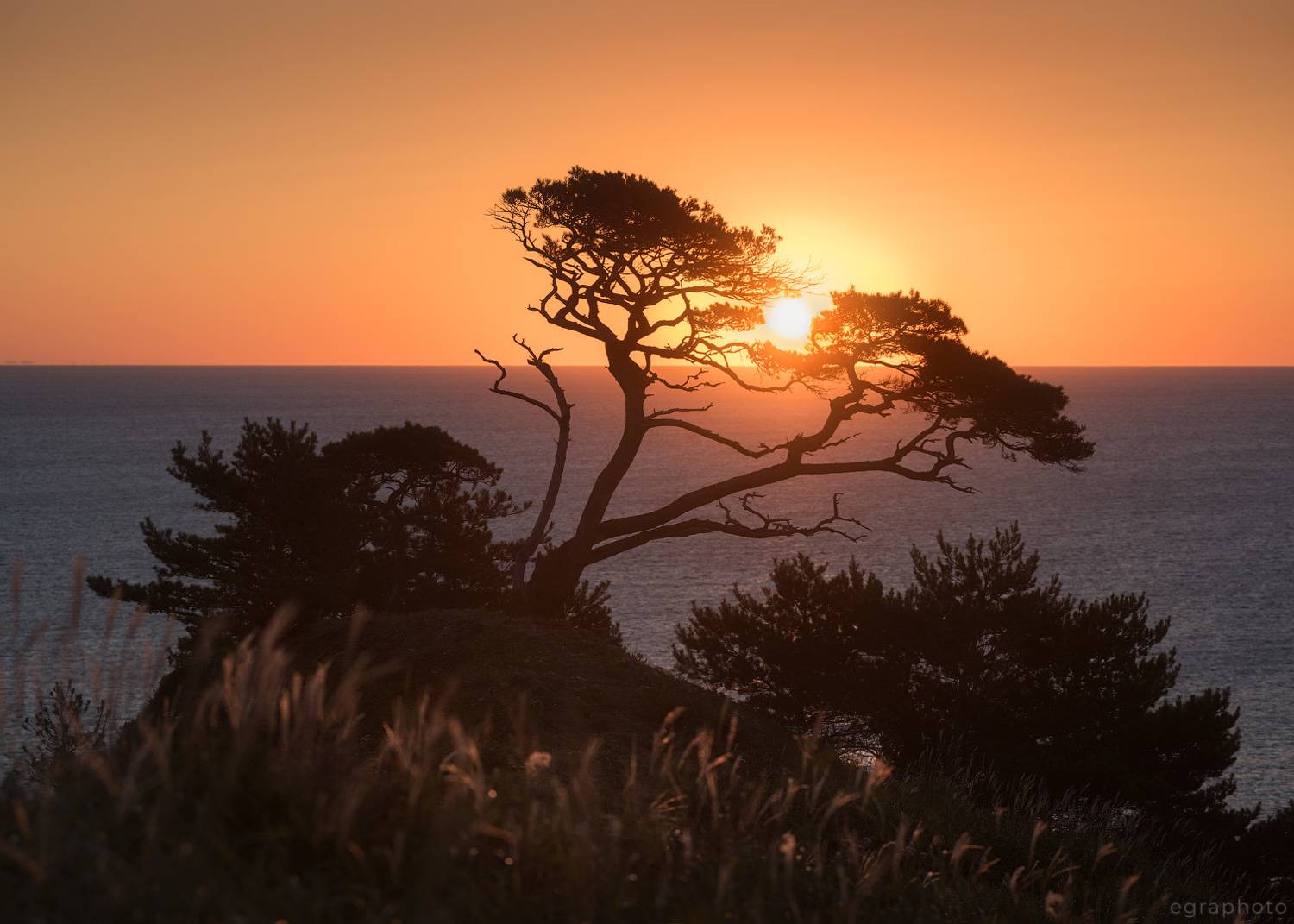 russia, primorye, primorsky krai, far east, россия, приморский край, приморье, дальний восток, Рябенький Александр