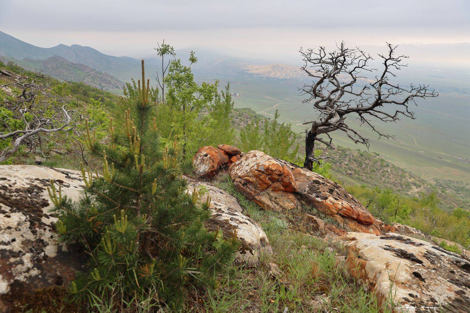 горы,пейзаж,весна,дагестан,сары кум,, Magov Marat