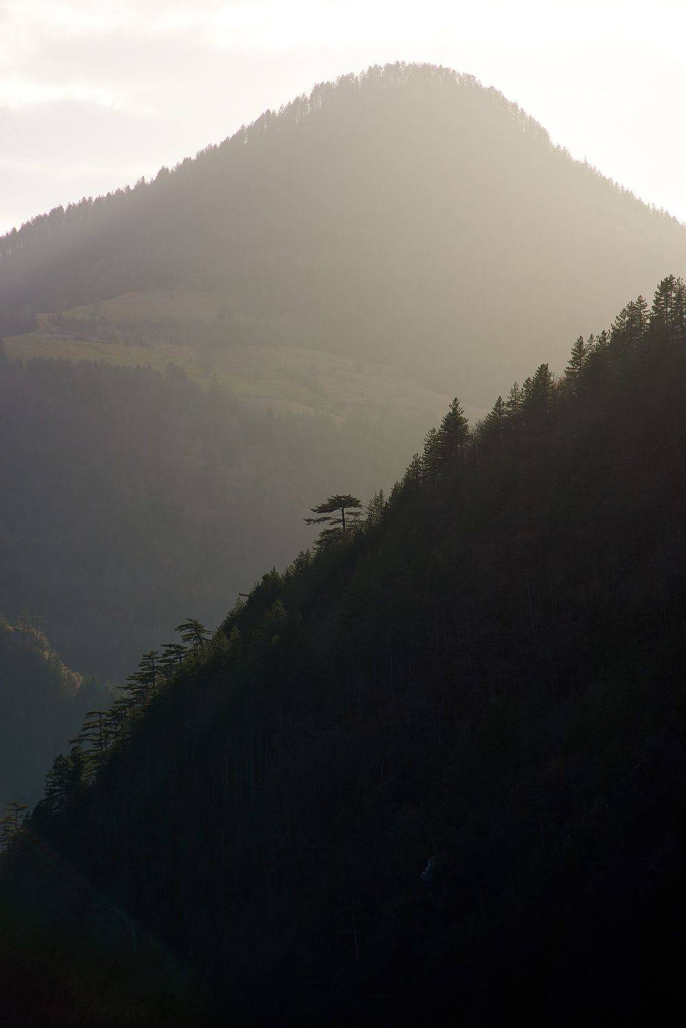 пейзаж, пейзажная фотография, пейзажи, заовине, сербия, скалы, путешествие, landscape, landscapes, landscape photography, патерны, силуэты, Кармаков Матвей