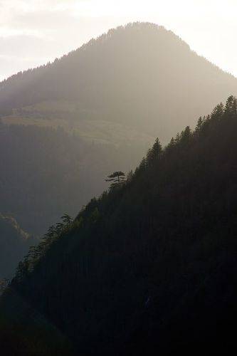 Заовине, Сербия