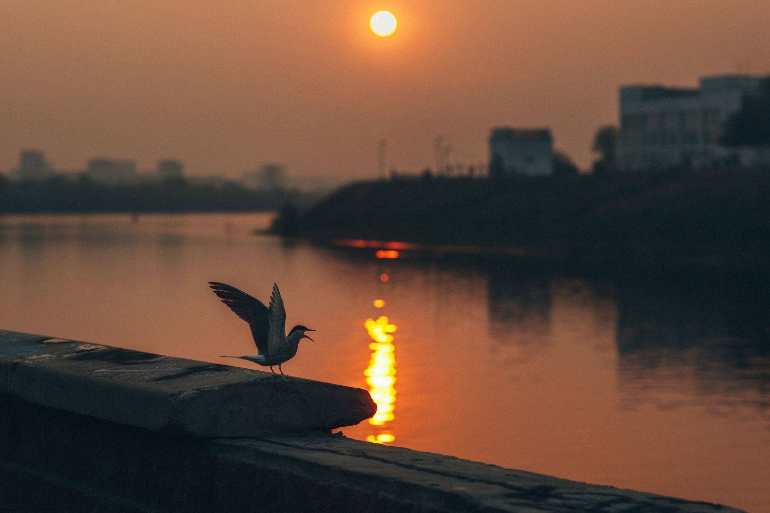 , Виктор Гагарин