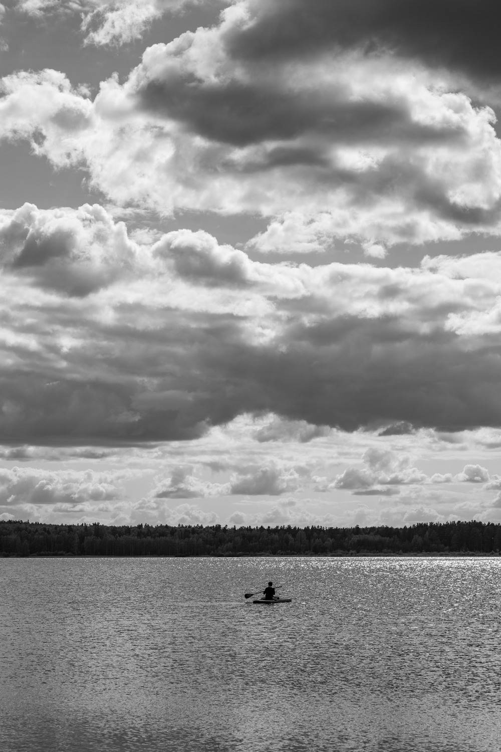 чёрно-белое фото, чб, bw, black and white, atmospheric, атмосферная фотография, пейзаж, озеро, Владимир Васильев